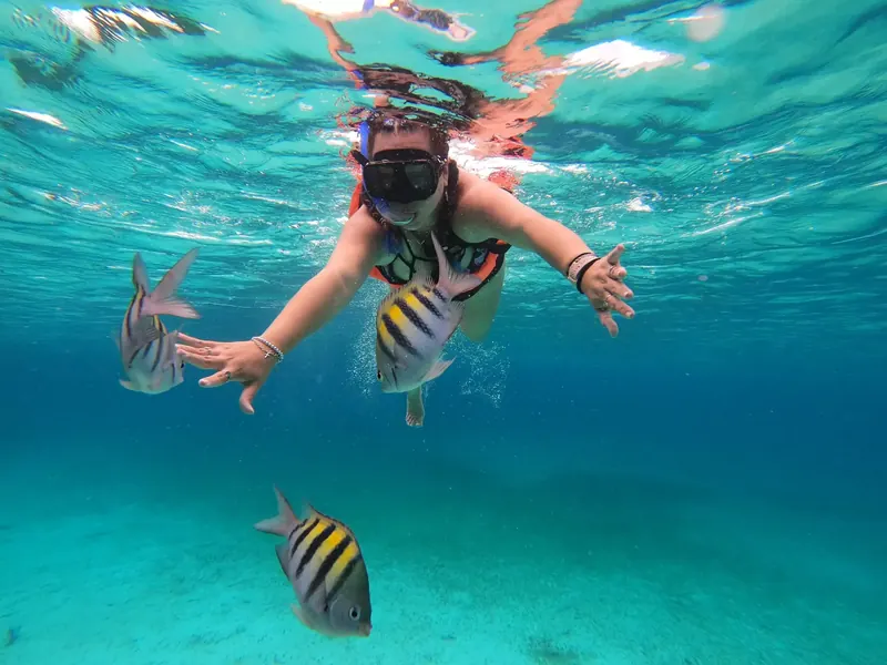 Snorkeling Tour